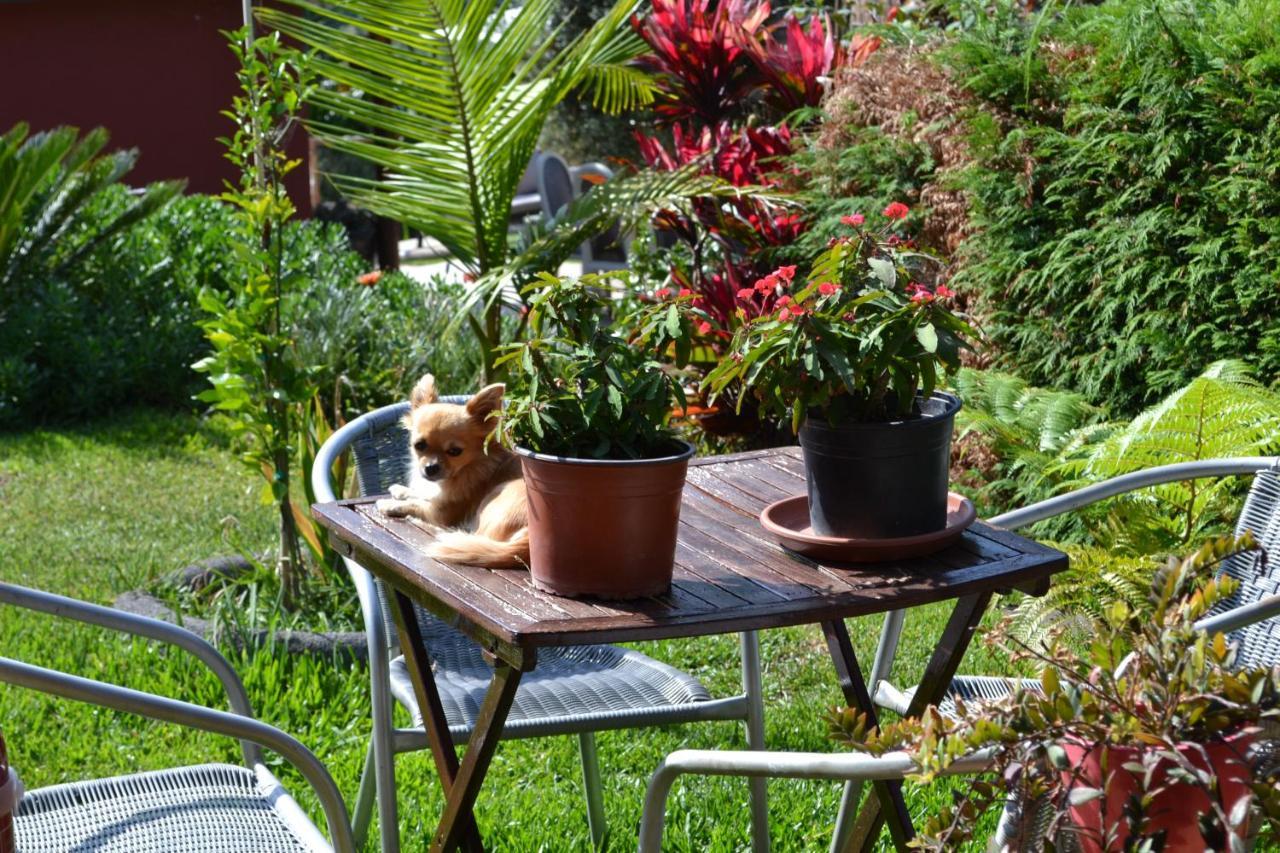 Maderedocevida Bed & Breakfast Boaventura Exterior photo