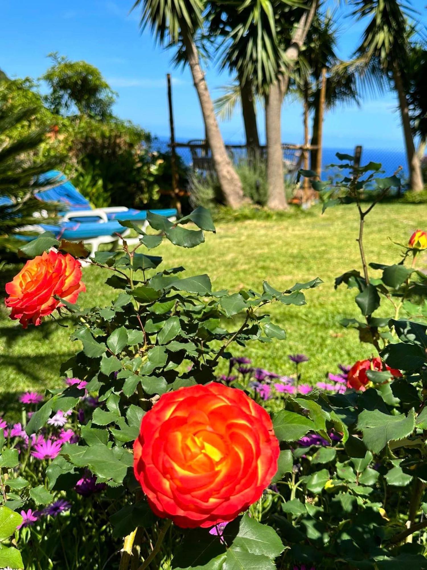 Maderedocevida Bed & Breakfast Boaventura Exterior photo
